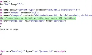 Code html montrant la balise title pour le SEO.