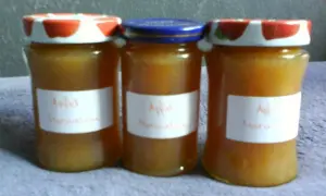 Drei Gläser hausgemachte Apfelmarmelade, bereit zum Genießen. Ein einfaches Apfelmarmelade Rezept, das schmeckt!