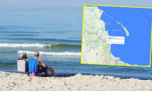 Para siedzi na plaży, patrząc na morze. Na mapie widać, że ile stopni ma teraz woda w Bałtyku: 12°C w Gdyni.