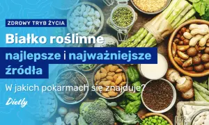 Co zawiera białko roślinne? Odkryj jego wartości odżywcze i źródła