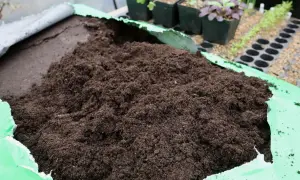 En stor hög med mörk blomjord ligger i en öppen grön plastpåse. I bakgrunden syns små plantor i krukor och såbrätten.