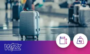 Szary walizka, gotowa na podróż. Sprawdź wymiary i wagę bagażu rejestrowanego Wizzair, by uniknąć niespodzianek.