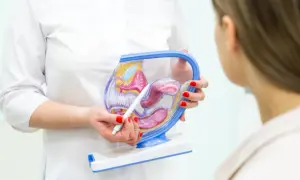 Lekarz pokazuje pacjentce model narządów rodnych, wyjaśniając, czy ginekolog zbada podczas okresu.