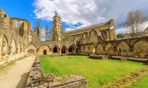 Rovine di antiche abbazie trappiste in Belgio, con un cortile erboso e un campanile sullo sfondo.