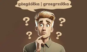 Jak pisać Gżegżółka? Poprawna pisownia i zasady ortografii.