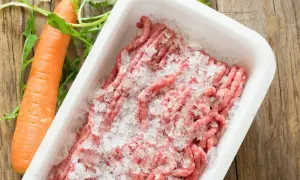 Gefrorenes Hackfleisch mit Eiswürfeln in einer Schale, daneben eine Karotte und Rucola. Die Frage "wie lange braucht Hackfleisch zum auftauen" wird hier visuell angedeutet.