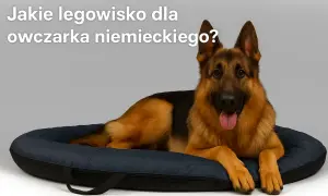 Jakie legowisko dla owczarka niemieckiego zapewni mu komfort i zdrowie