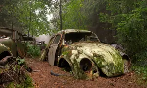 Dans ce cimetière de voiture, une coccinelle rouillée et envahie par la mousse repose au milieu d'une forêt luxuriante.