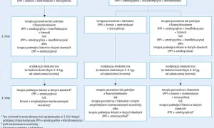 Schemat leczenia Helicobacter pylori: różne linie terapii, w tym poczwórna z bizmutem i antybiotykami.