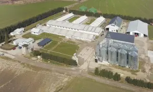 Jakie są przepisy dotyczące odległości chlewni od budynku mieszkalnego?