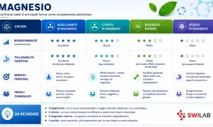 Magnesio: scopri a cosa serve e quale forma scegliere per i tuoi bisogni. Confronto tra bisglicinato, citrato, marino e ossido.