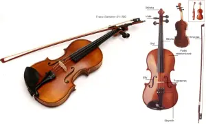 Skrzypce: Jaki to instrument? Budowa, dźwięk i historia