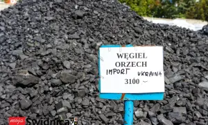 Wielka hałda węgla orzech z importu z Ukrainy. Cena za tonę to 3100.