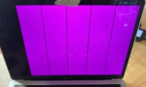 Uszkodzony ekran MacBook Pro wyświetla pionowe fioletowe pasy.