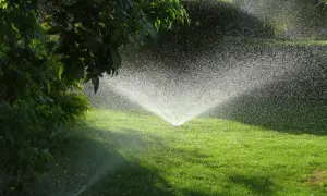 Aspersor en acción, creando una fina lluvia para el riego del césped verde y frondoso.