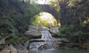 Cascate Torri del Benaco: un sentiero nascosto tra rocce e vegetazione lussureggiante, con un antico ponte ad arco che sovrasta la cascata.