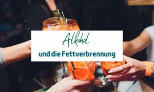 Hände stoßen mit Cocktails an. Text: "Alkohol und die Fettverbrennung". Wie lange stoppt Alkohol die Fettverbrennung?