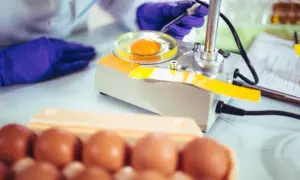 Technologia żywności praca po studiach – jakie masz możliwości?