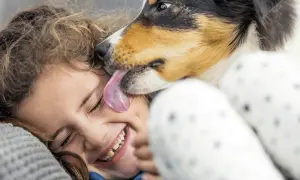A dog licks a laughing child's face. The question of whether dogs' mouths are cleaner than humans' is a common one, but this image captures a moment of pure joy.