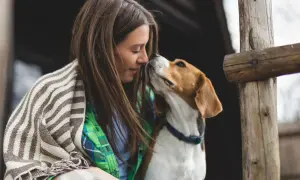 Ein Hund sucht die Aufmerksamkeit seiner Besitzerin. Sie kuscheln eng aneinander, umgeben von rustikalen Holzelementen.