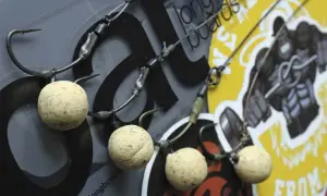 Ein **german rig** mit drei Boilies und scharfen Haken, bereit für den Ansitz.