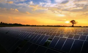 Un vasto campo de placas solares refleja el atardecer dorado. El sol se oculta tras un árbol solitario, iluminando el cielo con tonos naranjas y amarillos.