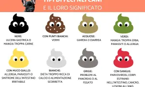 Guida illustrata sui tipi di feci nei cani e il loro significato. Colori diversi indicano problemi di salute, da vermi a ulcere.