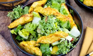 Ein frischer Salat mit knackigem Grün, Gurken und gelben Paprikastücken, garniert mit würzigen Putenstreifen und Kresse.