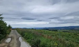 Schlammiger Weg mit Pfützen, blühende Wiesen und sanfte Hügel im Hintergrund. Perfekt für eine Wanderung auf dem Rothaarsteig, wie auf Komoot geplant.