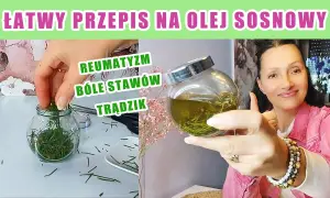 Jak zrobić olejek eteryczny z sosny w prosty sposób w domu