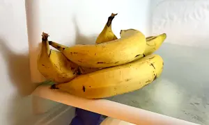 Kilka żółtych bananów leży na półce w lodówce. Czy banany można trzymać w lodówce? Tak, można, ale skórka może ściemnieć.
