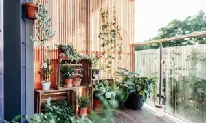 Ideas balcones muy pequeños: plantas en cajas de madera crean un oasis verde.