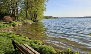 Ławka nad jeziorem GIM. Woda lśni w słońcu, a drzewa szumią na brzegu. Idealne miejsce na odpoczynek.