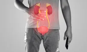 Anatomia układu moczowego z zaznaczonym bólem w okolicy nerek i pęcherza.
