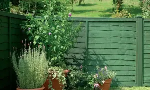 Jak malować płot drewniany? Trwały efekt na lata!