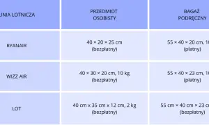 Tabela wymiarów bagażu podręcznego i rejestrowanego dla linii lotniczych. Ryanair oferuje bagaż rejestrowany 10 kg.