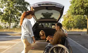 Coppia con cane e auto usata con iva esposta, ideale per chi ha diritto alla legge 104.