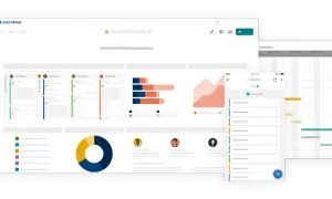 Dashboard con grafici, schede progetto e diagrammi di Gantt per monitorare i KPI.