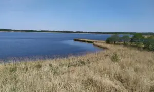 Ostrów Wielkopolski atrakcje – odkryj najciekawsze miejsca i wydarzenia