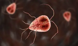 Mikroskopijny obraz pasożyta Giardia, który może powodować problemy zdrowotne u kotów.