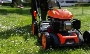Wybierz kosiarkę Briggs & Stratton: Poradnik eksperta i ranking