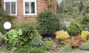 Zimozielone drzewa i krzewy tworzą bujny ogród przy ceglanym domu.