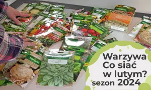 Co można uprawiać w różnych warunkach? Odkryj najlepsze rośliny