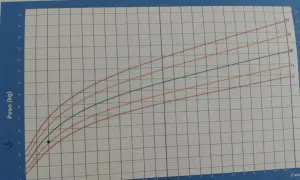 Gráfica de peso para la edad de niños. Muestra cómo saber cuanto mide un niño de 2 años y su peso ideal.