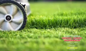 Koło kosiarki na tle soczystej trawy. Tekst: "Najskuteczniejsze nawozy i humusty ukorzeniające. Preparaty do ochrony roślin Shugo Garden". Yara Mila Complex opinie.