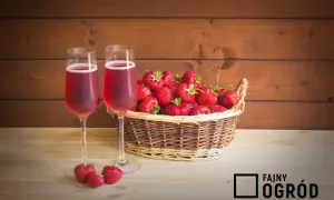 Dwa kieliszki z czerwonym napojem i koszyk pełen truskawek. Idealne składniki do domowego wina truskawkowego, przepis na który znajdziesz wkrótce!