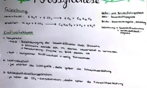 Die reaktionsgleichung fotosynthese wird erklärt, mit Einflussfaktoren wie Temperatur, Lichtintensität und CO₂-Konzentration.