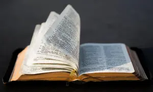 Otwarta Biblia, której strony wirują, ukazując tekst. Syn sema, jakby szukający odpowiedzi w słowach.