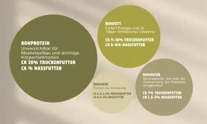 Grafik zeigt Nährwerte für Hundefutter. Rohfaser fördert die Verdauung: ca. 0,5-2,5% im Trockenfutter, 0,5-2% im Nassfutter.