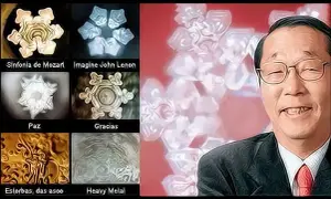 Masaru Emoto: Eksperyment z ryżem nauka czy magia?